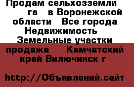 Продам сельхозземли ( 6 000 га ) в Воронежской области - Все города Недвижимость » Земельные участки продажа   . Камчатский край,Вилючинск г.